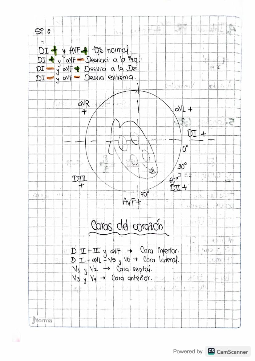 1. FC
• Paso a paso
• Como leer un electrocardiograma?
Contar de Ra R oantos cuadros hay.
20 pequeños la regla de 1500.
1500/20=751pm.
Valor