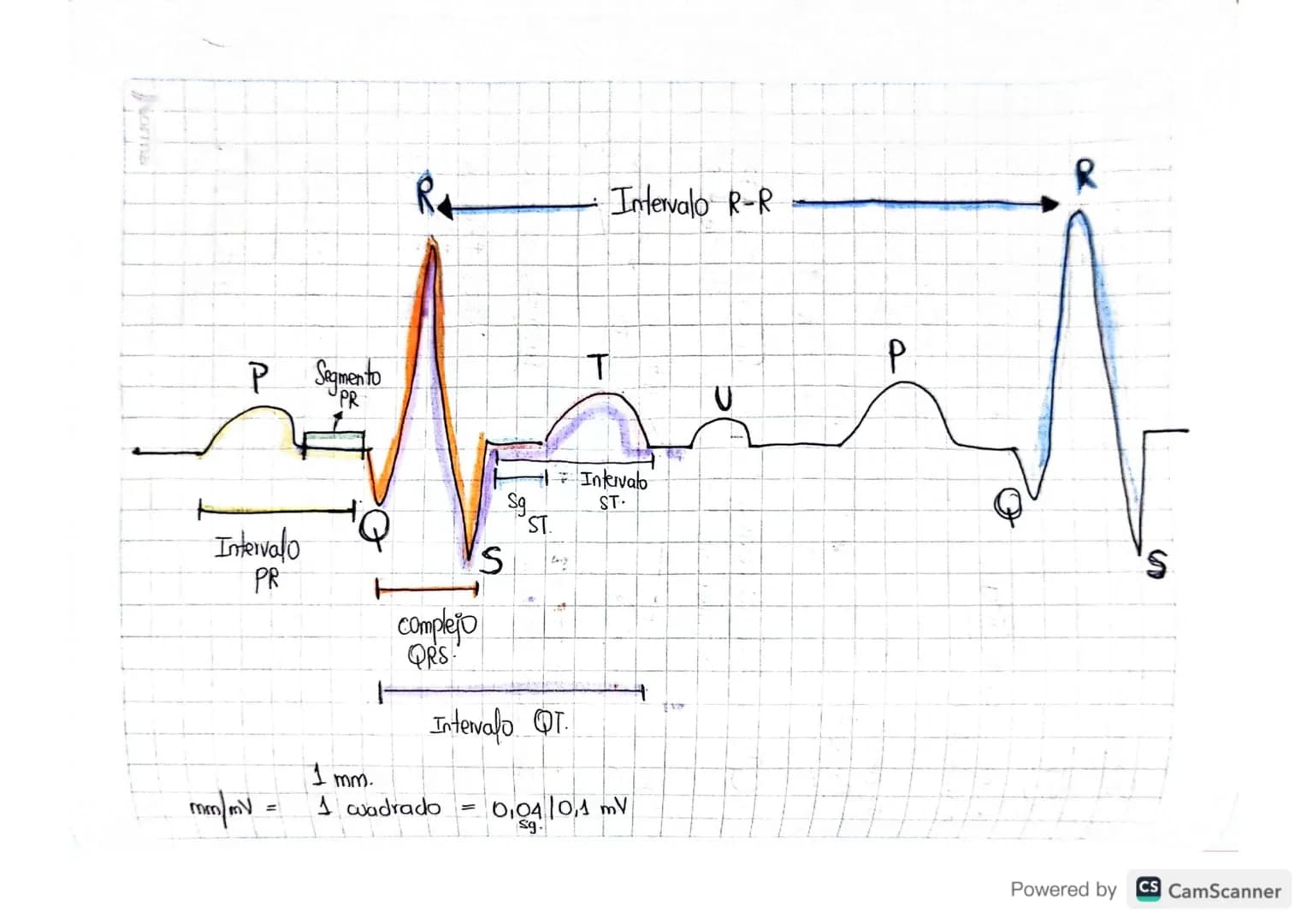1. FC
• Paso a paso
• Como leer un electrocardiograma?
Contar de Ra R oantos cuadros hay.
20 pequeños la regla de 1500.
1500/20=751pm.
Valor