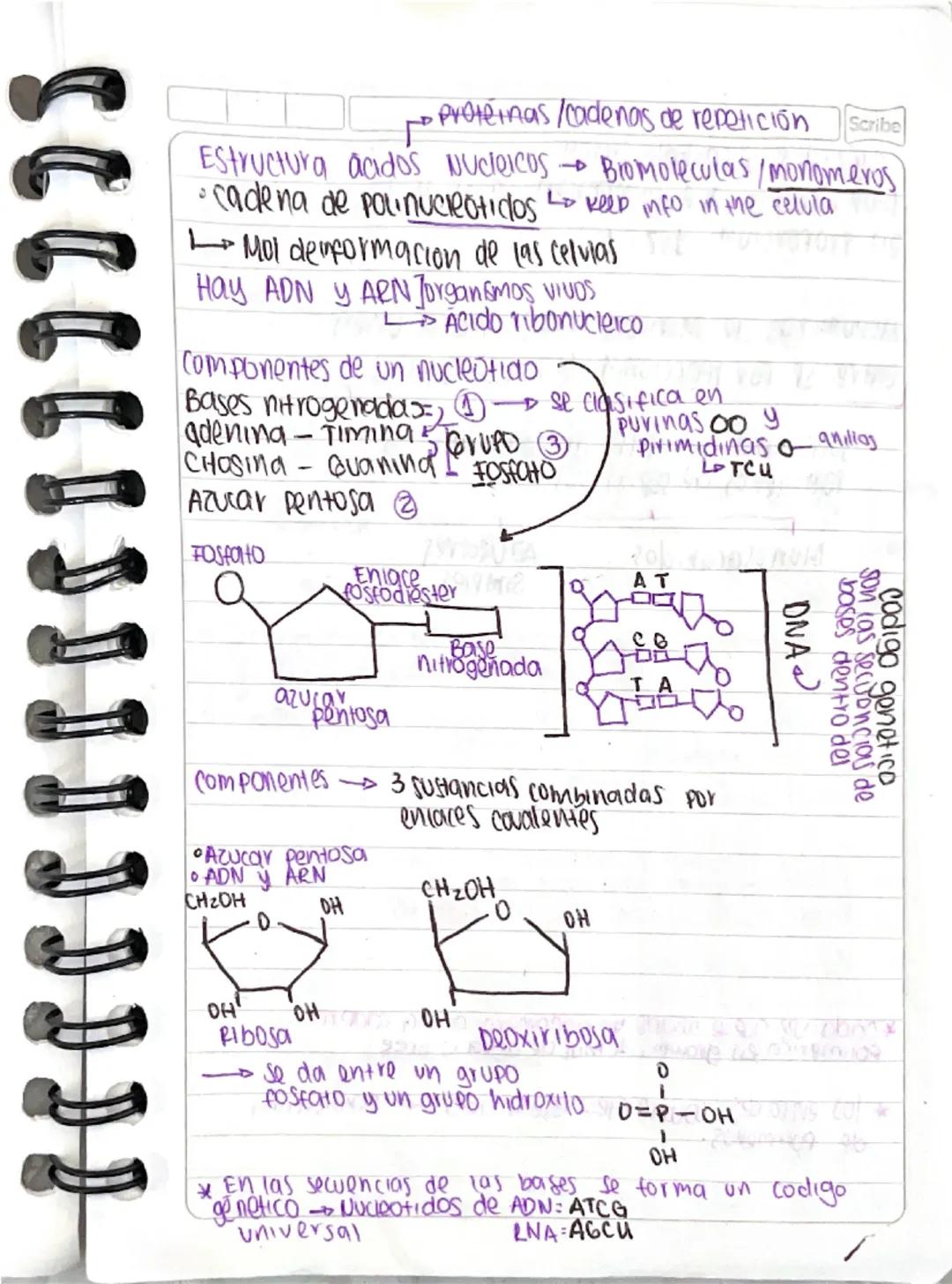Scribe
Hidrolisis →Reacción química, se agrega 
Para descomponer un polímero
* enlaces covalentes que keep
unido los monomeros.
Enlaces carb