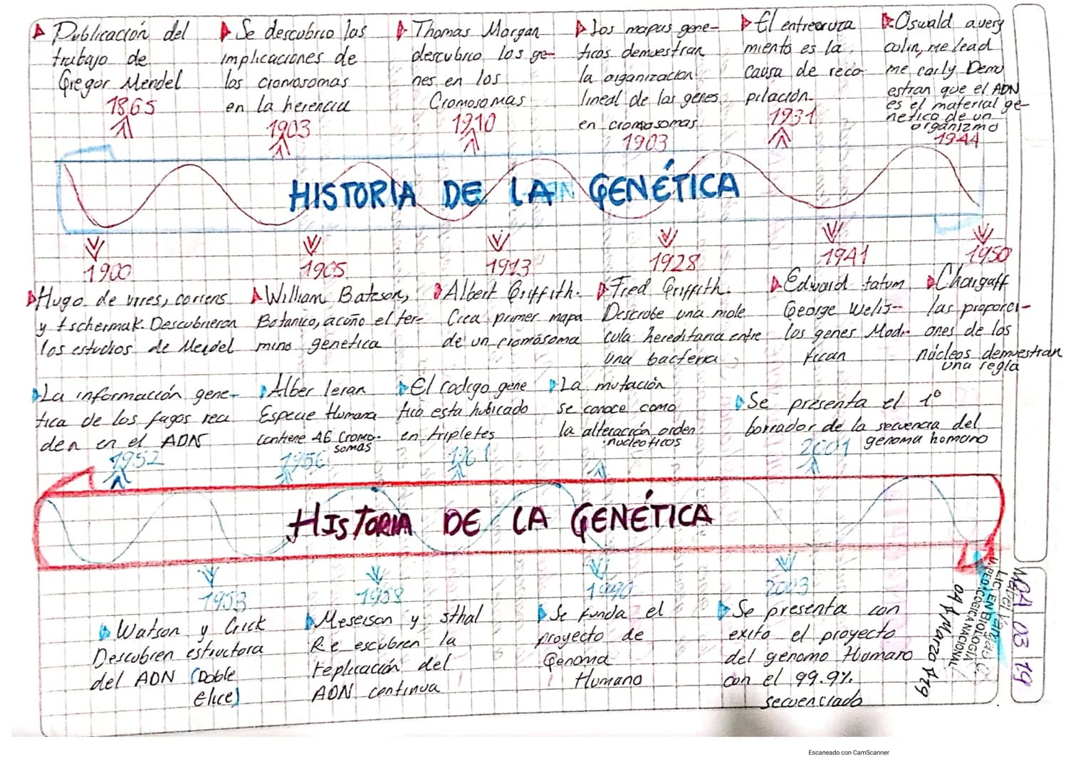 A Publicación del Se descubrio las & Thomas Margan
trabajo de
Gregor Mendel
1865
A
1900
Implicaciones de
los cromosomas
en la herencia
1903
