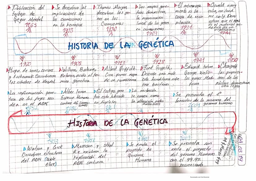 A Publicación del Se descubrio las & Thomas Margan
trabajo de
Gregor Mendel
1865
A
1900
Implicaciones de
los cromosomas
en la herencia
1903
