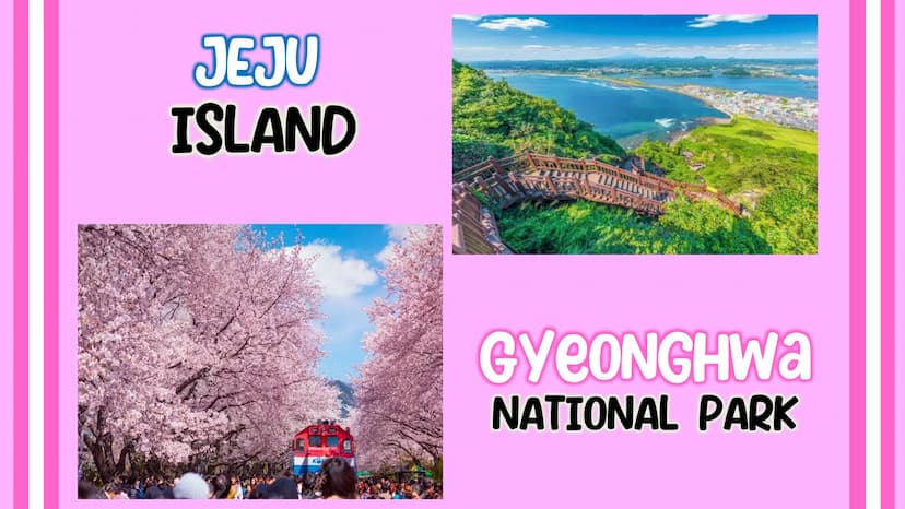 대한민국
SOUTH
Korea GEOGRAPHIC LOCATION
South Korea is located in East Asia, in the southern part of the Korean peninsula.
NORTH KOREA
YELLOW S