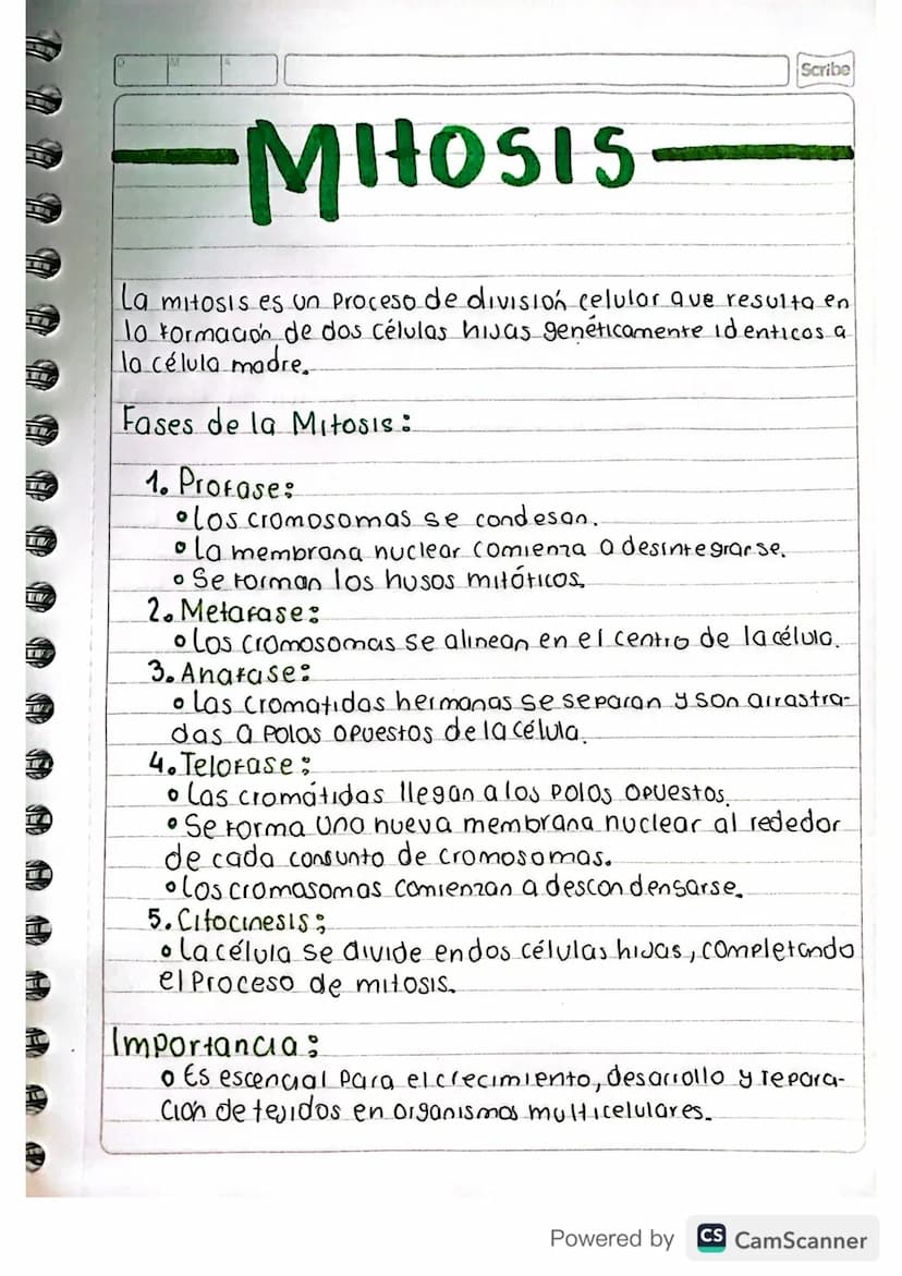 Scribe
MITOSIS
La mitosis es un proceso de división celular que resulta en
10 formación de dos células hijas genéticamente identicos a
la cé