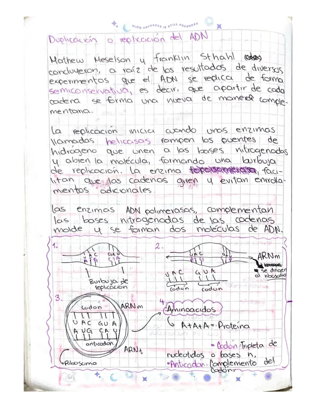 BLOW FROURERE IS STILL PROGRESS

Oct-24-23

Las moléculas de la herencia

*   ADN: Ácido Desoxirribonucleico (DNA, en inglés)

Importancia d