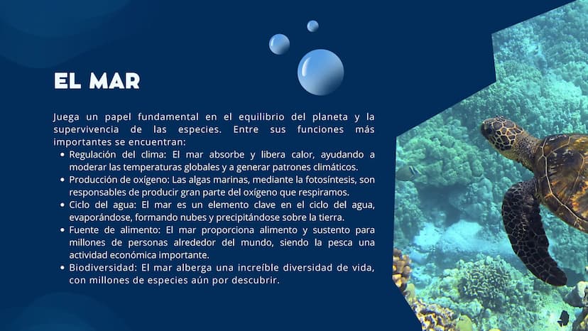 EL MAR INTRODUCCIÓN
Esa masa de agua salada que cubre más del 70% de la superficie
terrestre, es un lugar de misterio, belleza y vital impor