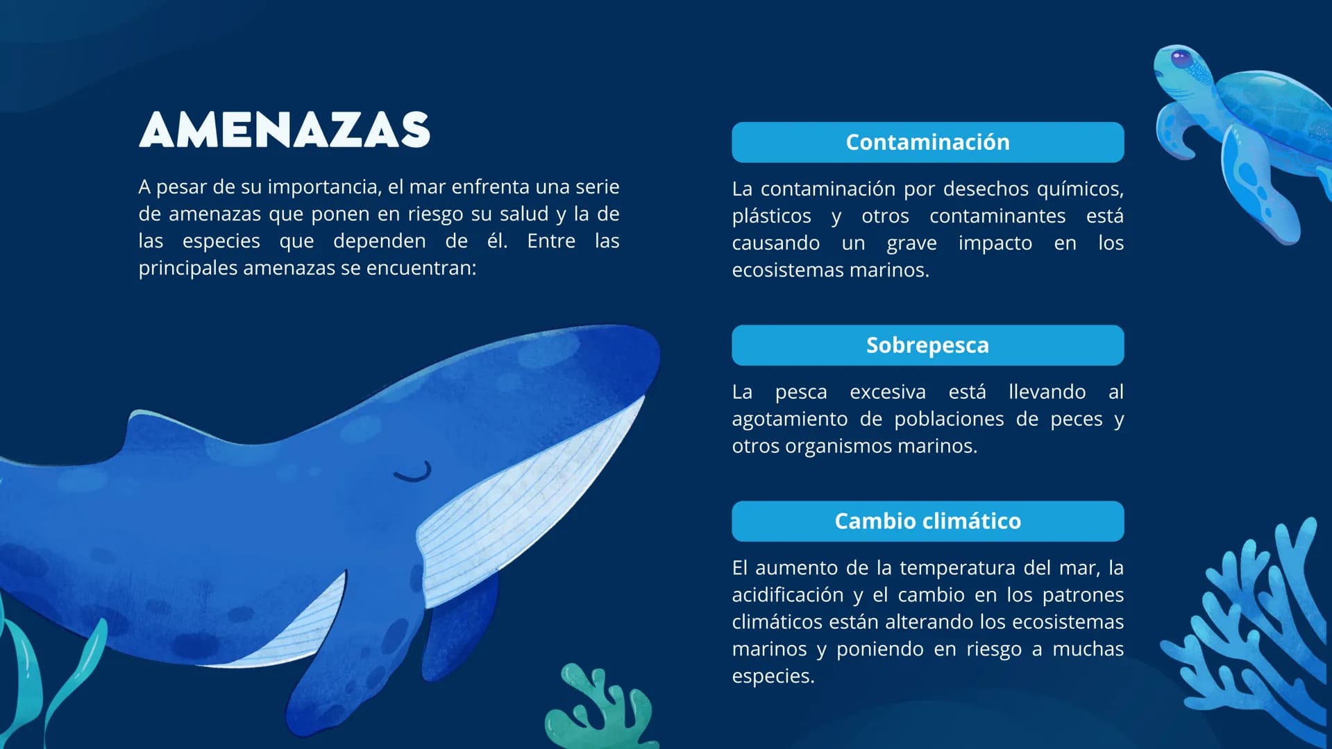 EL MAR INTRODUCCIÓN
Esa masa de agua salada que cubre más del 70% de la superficie
terrestre, es un lugar de misterio, belleza y vital impor