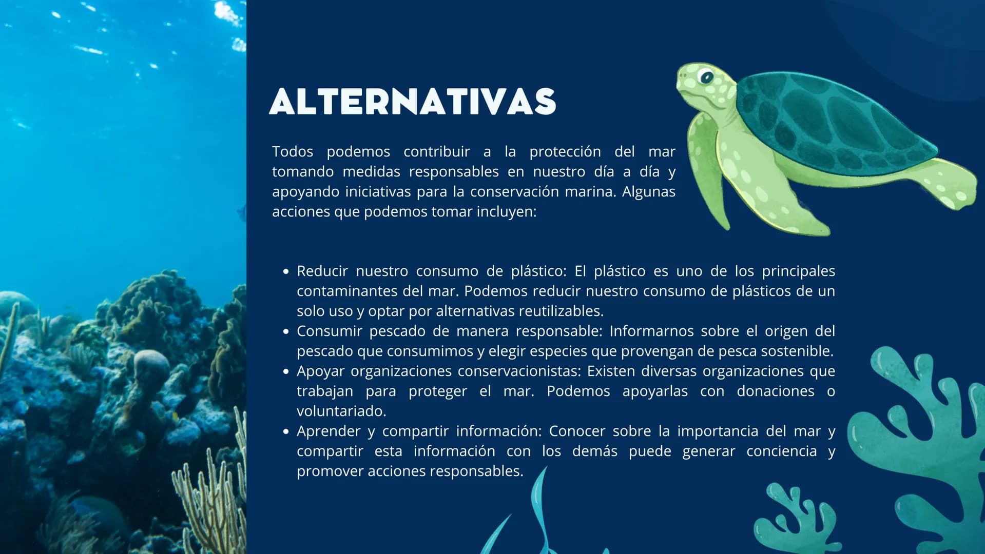 EL MAR INTRODUCCIÓN
Esa masa de agua salada que cubre más del 70% de la superficie
terrestre, es un lugar de misterio, belleza y vital impor