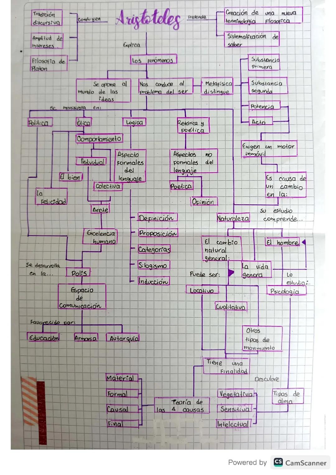 Platón y Aristóteles: Resumen y Diferencias en Filosofía