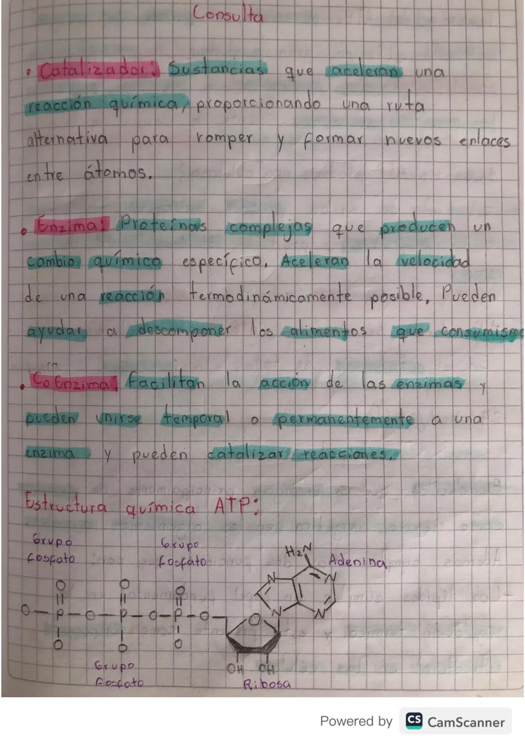 # Proceso metabolico
de la glucosa

Una vez ingresa la glucosa en nuestro organismo,
Inicia un proceso digestivo y nutritivo que le
permita 
