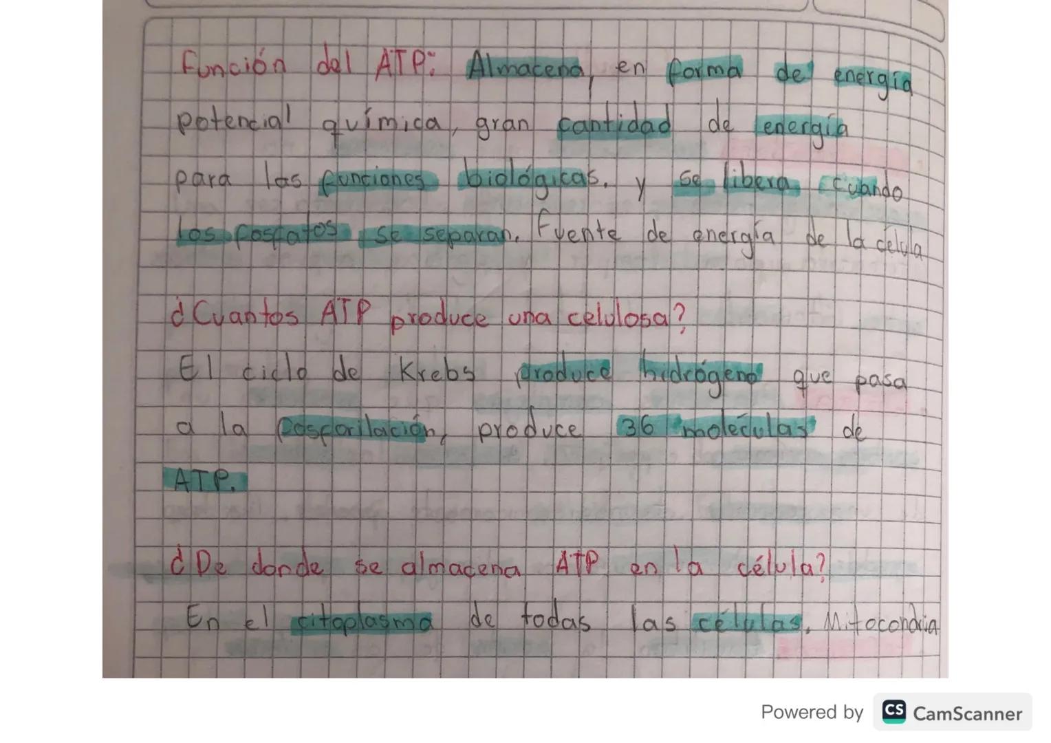 # Proceso metabolico
de la glucosa

Una vez ingresa la glucosa en nuestro organismo,
Inicia un proceso digestivo y nutritivo que le
permita 