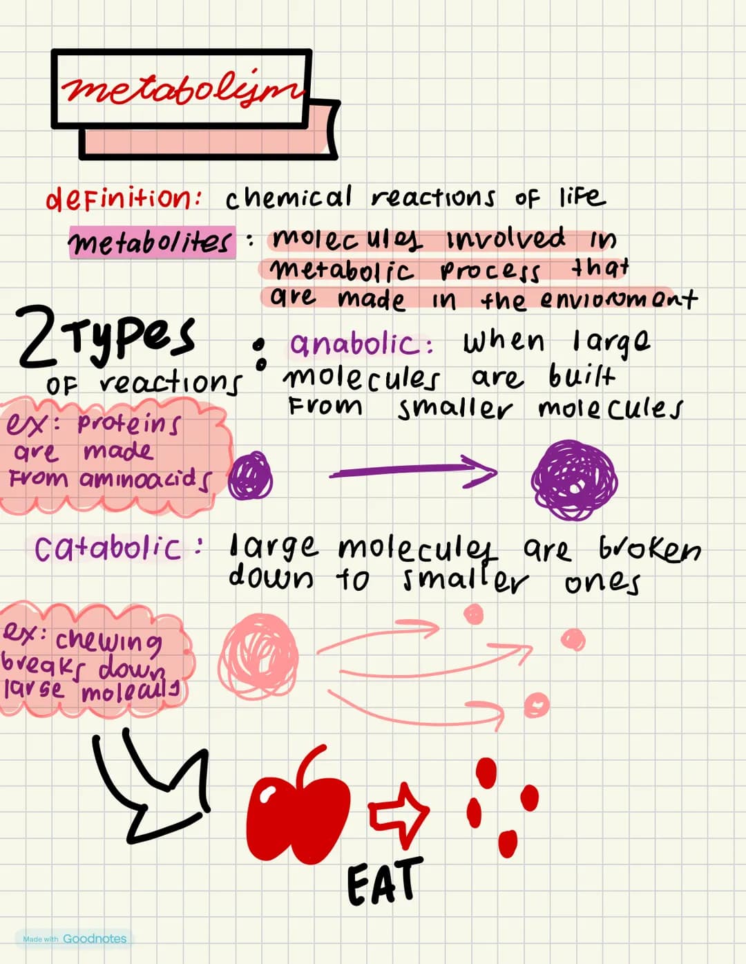 metabolijm
definition: chemical reactions of life
metabolites molecules involved in
2 Types
Metabolic process that
are made in the enviorome