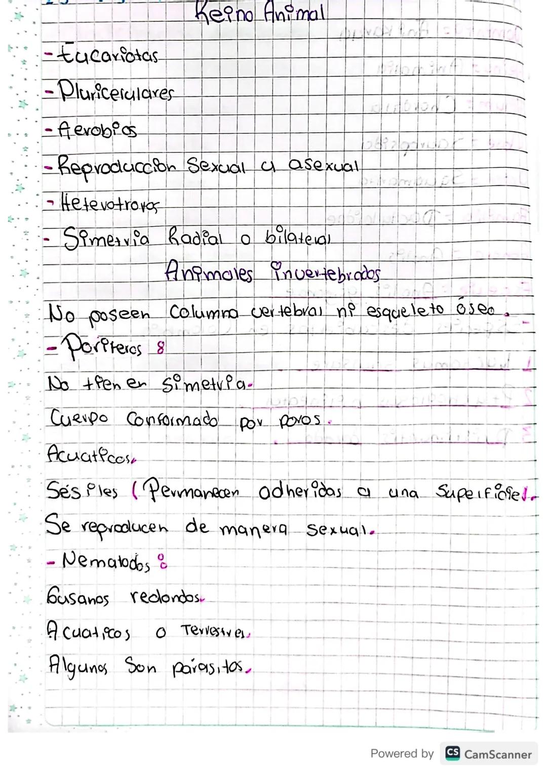 Keino Animal
-Eucariotas
- Pluricelulares
- ferobios
-Reproduccion Sexual a asexual
Hete votrovos
Simetria Radial o bilateral
Animales inver