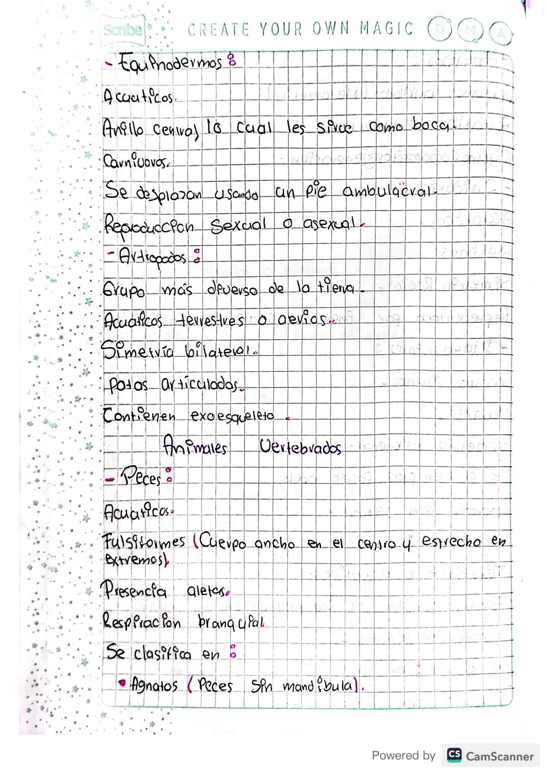 Keino Animal
-Eucariotas
- Pluricelulares
- ferobios
-Reproduccion Sexual a asexual
Hete votrovos
Simetria Radial o bilateral
Animales inver