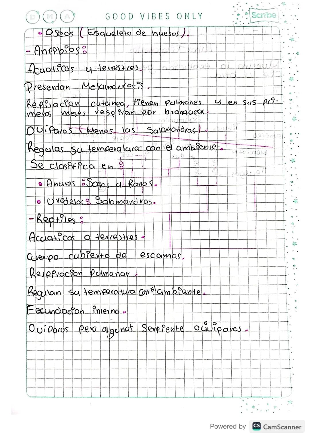 Keino Animal
-Eucariotas
- Pluricelulares
- ferobios
-Reproduccion Sexual a asexual
Hete votrovos
Simetria Radial o bilateral
Animales inver