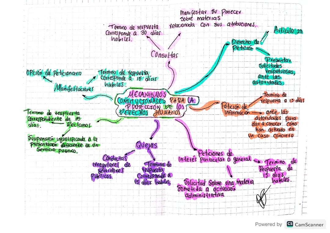 ETICA- MECANISMOS CONSTITUCIONALES PARA LA PROTECCION DE LOS DERECHOS HUMANOS
