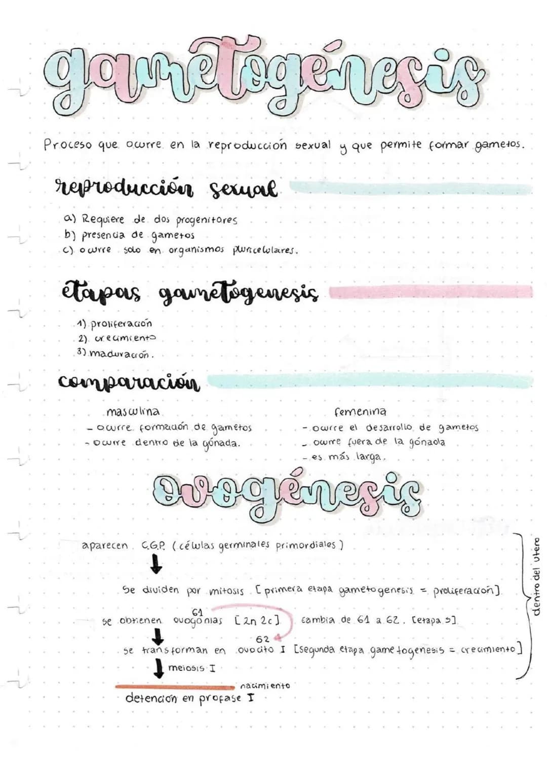 garétógenesis
Proceso que ocurre en la reproducción sexual y que permite formar gametos.
reproducción sexual
a) Requiere de dos progenitores