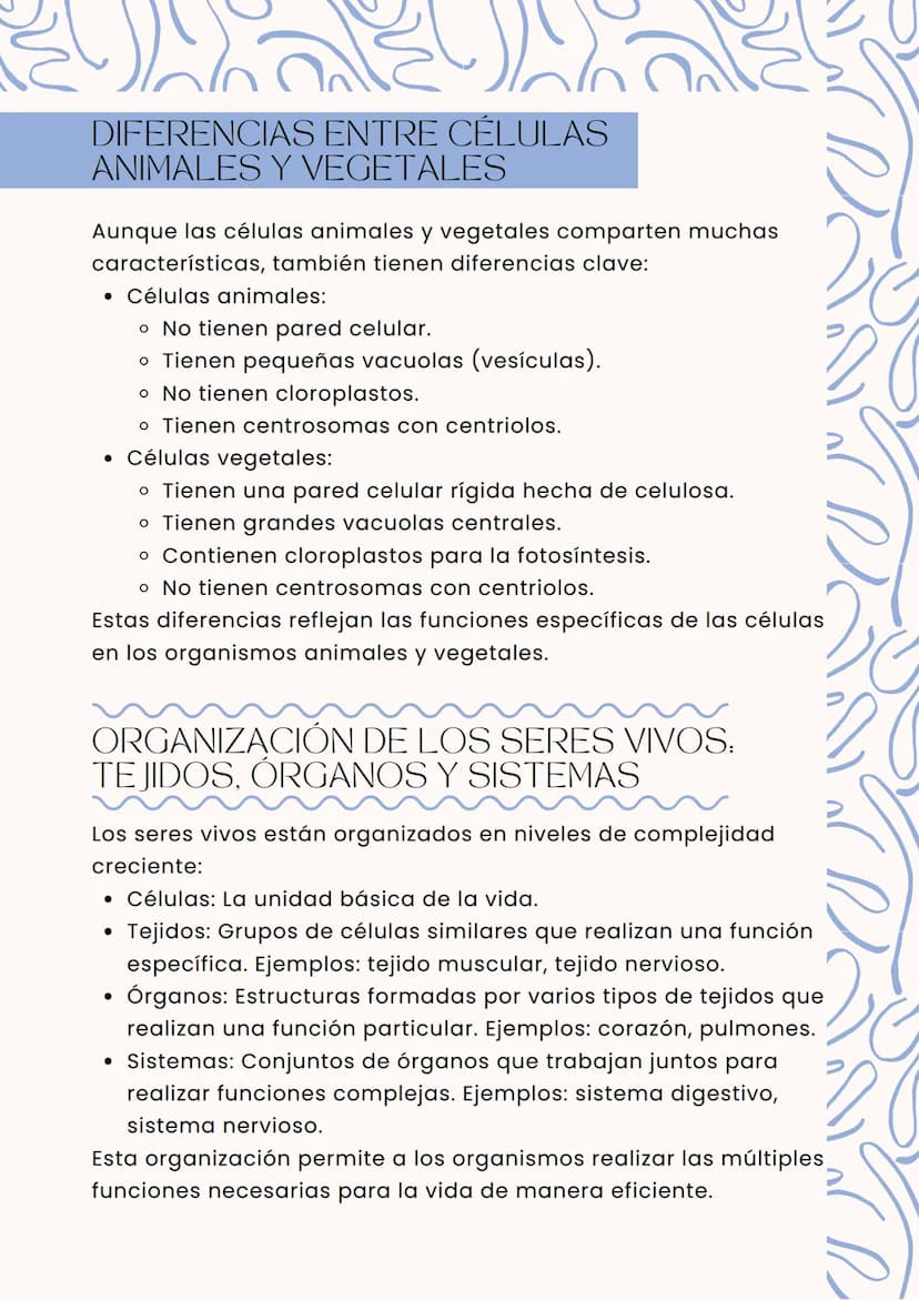 вод
La célula y bs
seres vivos
La célula es la unidad básica de la vida. Todos los seres
vivos están formados por células, que realizan toda