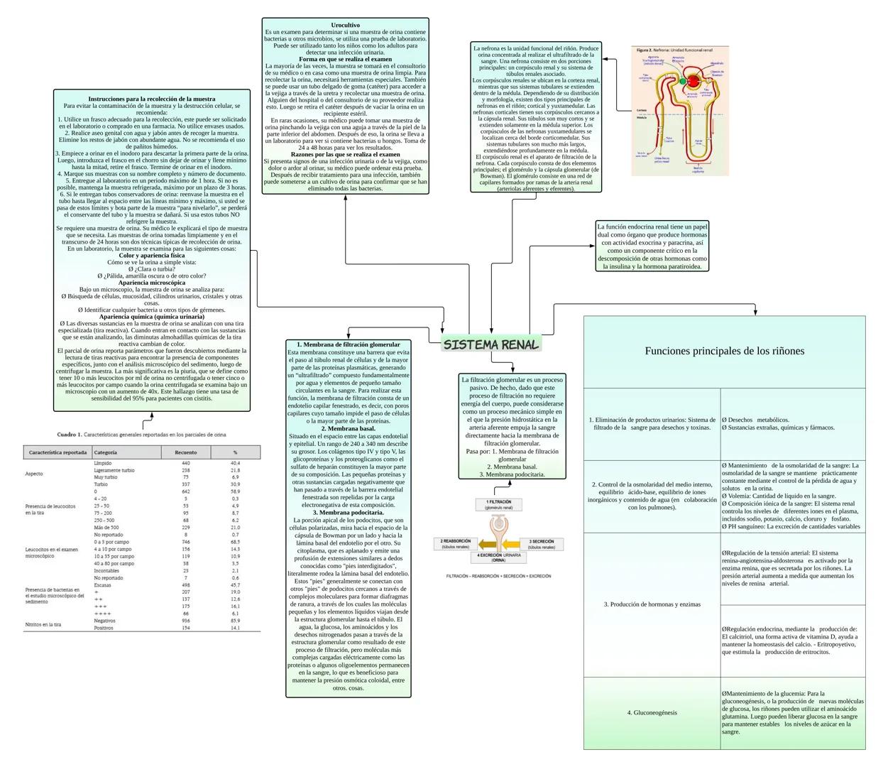 Instrucciones para la recolección de la muestra
Para evitar la contaminación de la muestra y la destrucción celular, se
recomienda:
1. Utili
