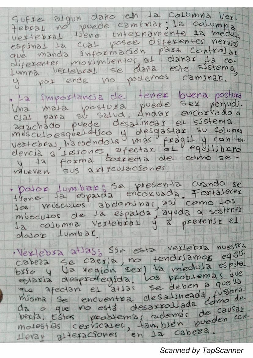 is ema
0800
El movimiento es algo fundamental en la
vada, es
necesario Para desplazarse de un
Lugar a otro, para mover objetos, para ope-
xa