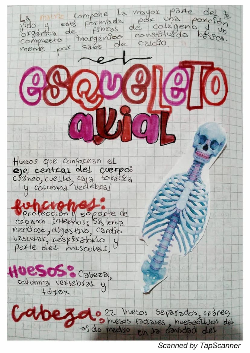 is ema
0800
El movimiento es algo fundamental en la
vada, es
necesario Para desplazarse de un
Lugar a otro, para mover objetos, para ope-
xa