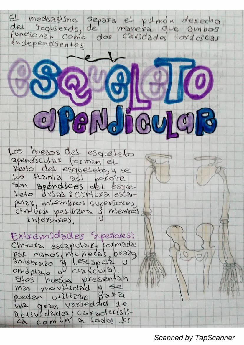 is ema
0800
El movimiento es algo fundamental en la
vada, es
necesario Para desplazarse de un
Lugar a otro, para mover objetos, para ope-
xa