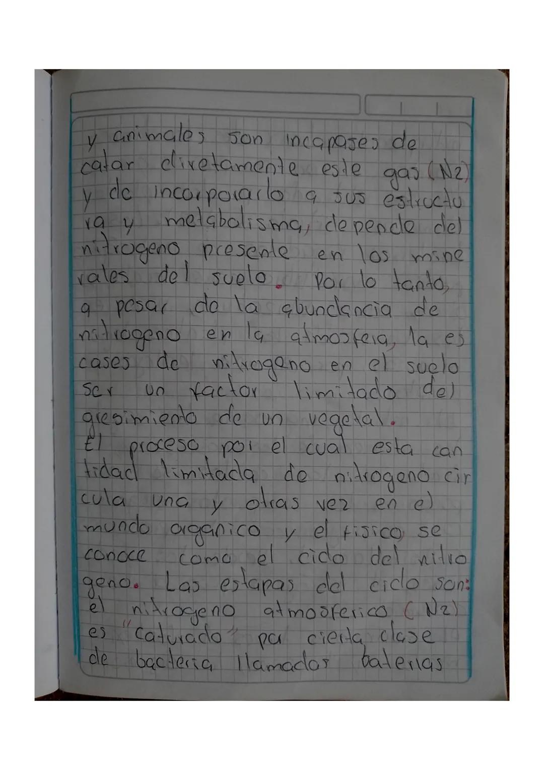 ciclo del nitrógeno
El nitrógeno es uno de los nutrien
tes Importantes de los suelos qu-
que su kuonte más abundante en
nuestro planeta es l