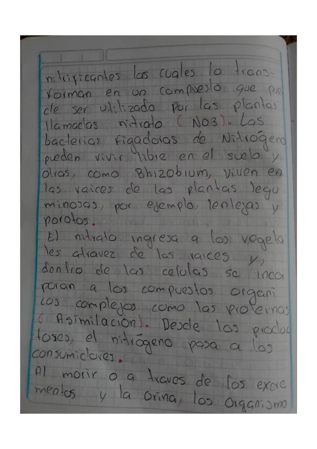 ciclo del nitrógeno
El nitrógeno es uno de los nutrien
tes Importantes de los suelos qu-
que su kuonte más abundante en
nuestro planeta es l