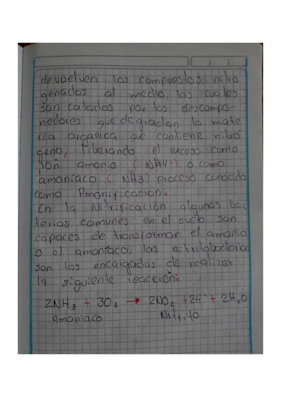 ciclo del nitrógeno
El nitrógeno es uno de los nutrien
tes Importantes de los suelos qu-
que su kuonte más abundante en
nuestro planeta es l