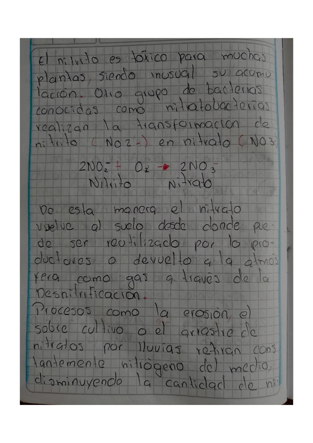 ciclo del nitrógeno
El nitrógeno es uno de los nutrien
tes Importantes de los suelos qu-
que su kuonte más abundante en
nuestro planeta es l