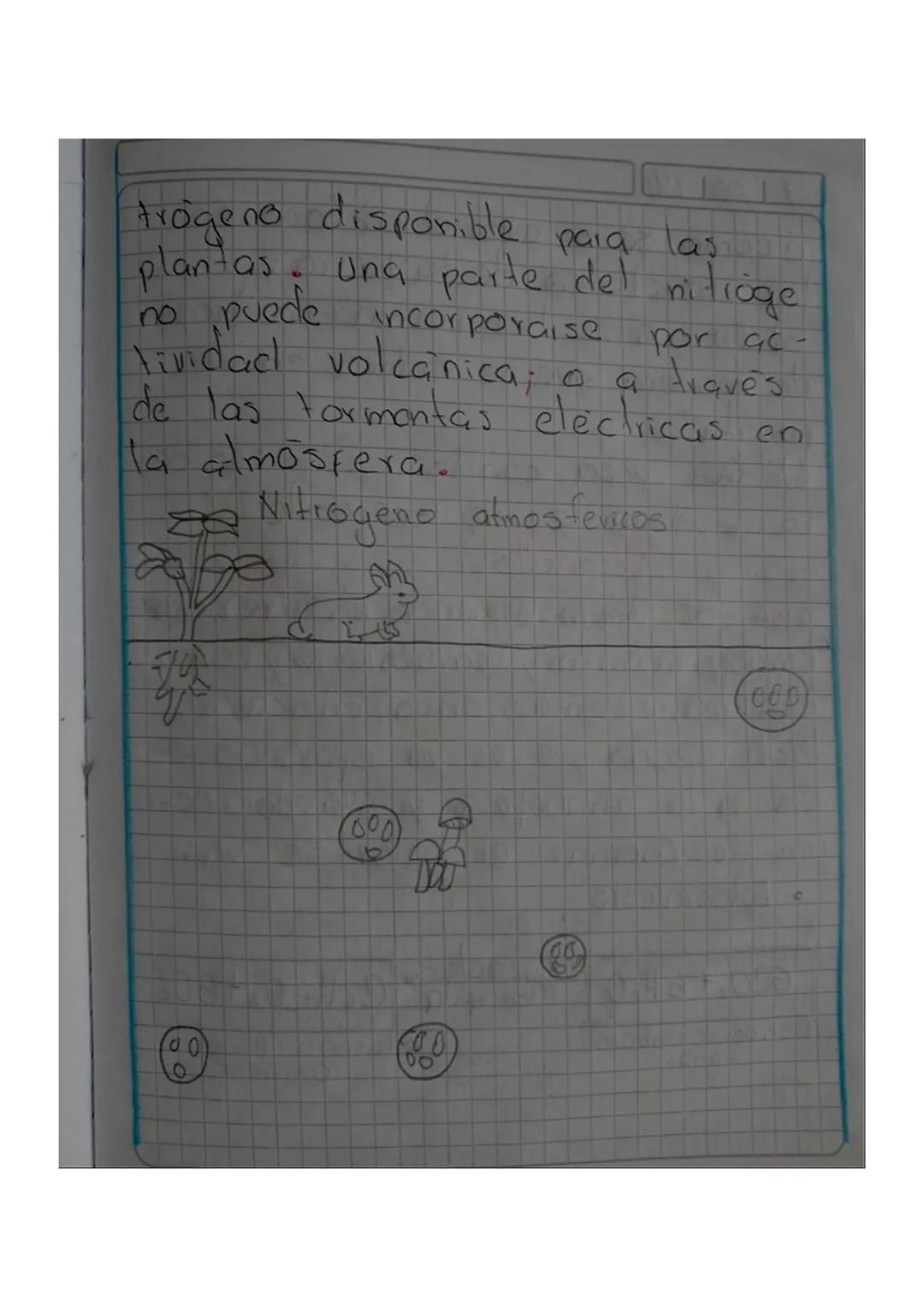 ciclo del nitrógeno
El nitrógeno es uno de los nutrien
tes Importantes de los suelos qu-
que su kuonte más abundante en
nuestro planeta es l
