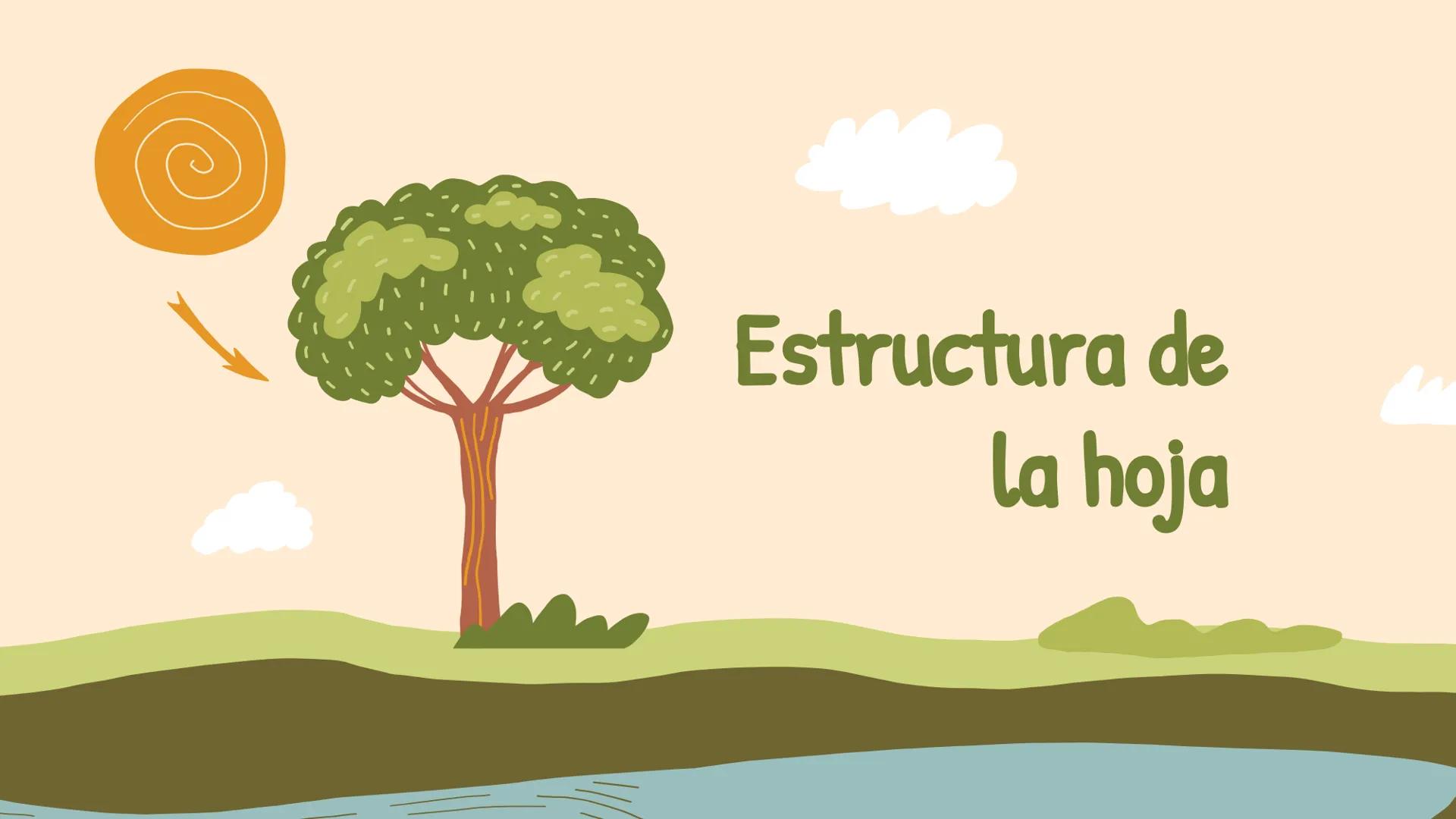 ¿De qué crees que depende la vida en la tierra?  # Luz solar # FOTOSÍNTESIS
Proceso # Objetivos de la clase:

• Resumir el propósito general