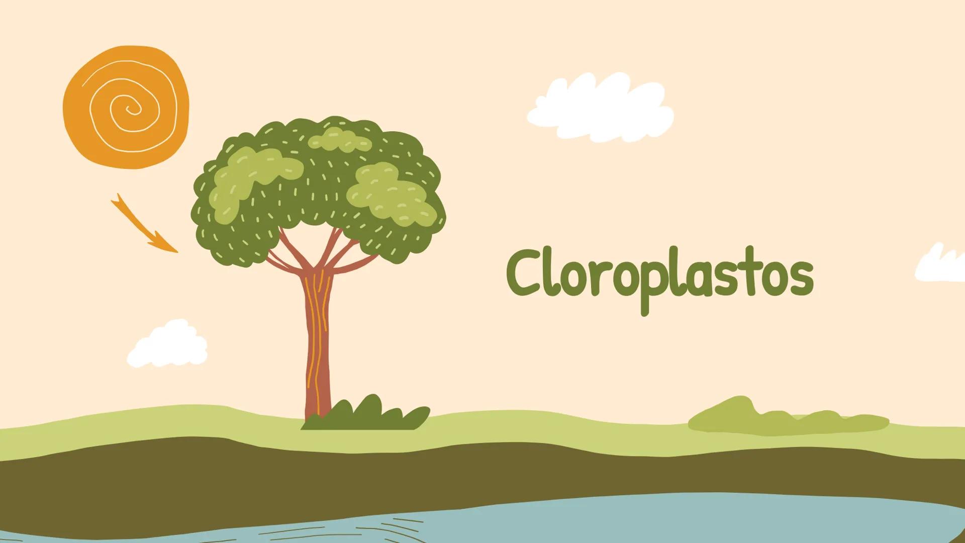 ¿De qué crees que depende la vida en la tierra?  # Luz solar # FOTOSÍNTESIS
Proceso # Objetivos de la clase:

• Resumir el propósito general