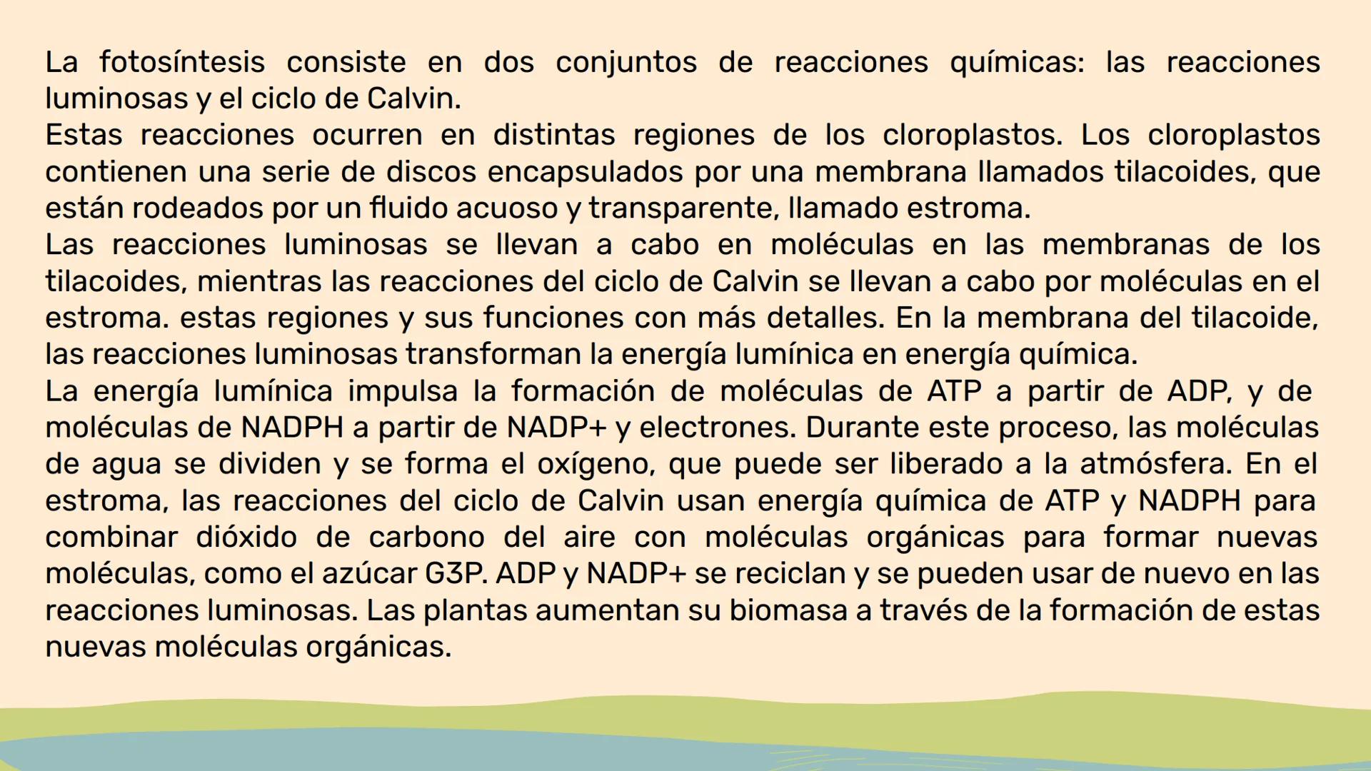 ¿De qué crees que depende la vida en la tierra?  # Luz solar # FOTOSÍNTESIS
Proceso # Objetivos de la clase:

• Resumir el propósito general