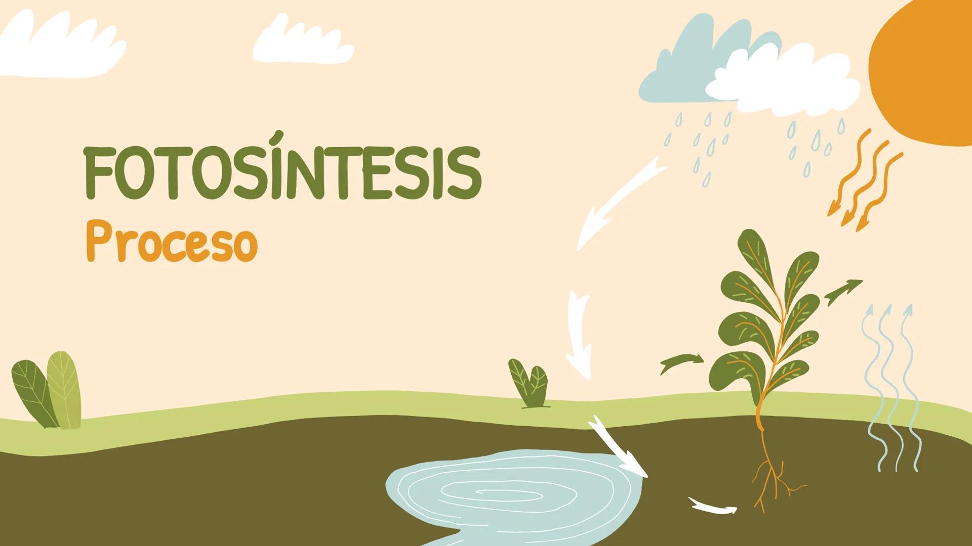 ¿De qué crees que depende la vida en la tierra?  # Luz solar # FOTOSÍNTESIS
Proceso # Objetivos de la clase:

• Resumir el propósito general