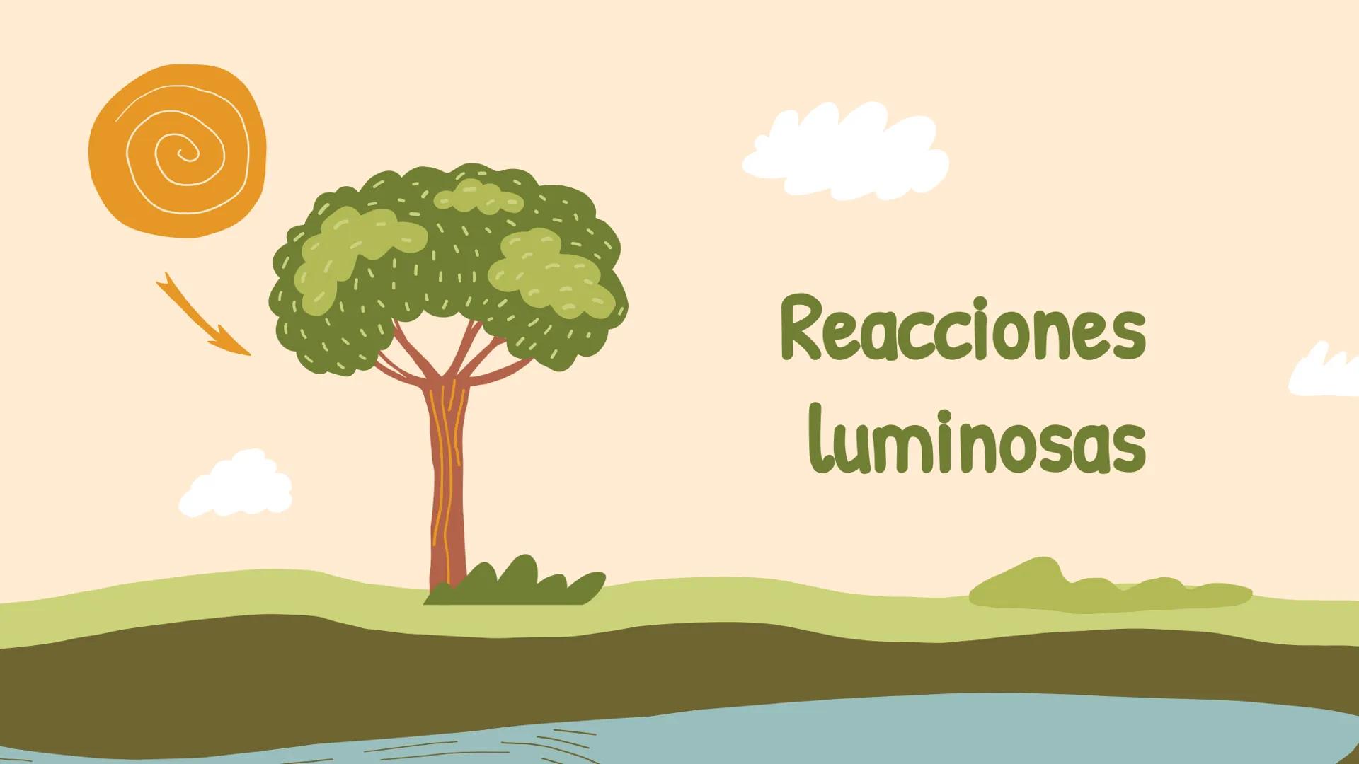 ¿De qué crees que depende la vida en la tierra?  # Luz solar # FOTOSÍNTESIS
Proceso # Objetivos de la clase:

• Resumir el propósito general