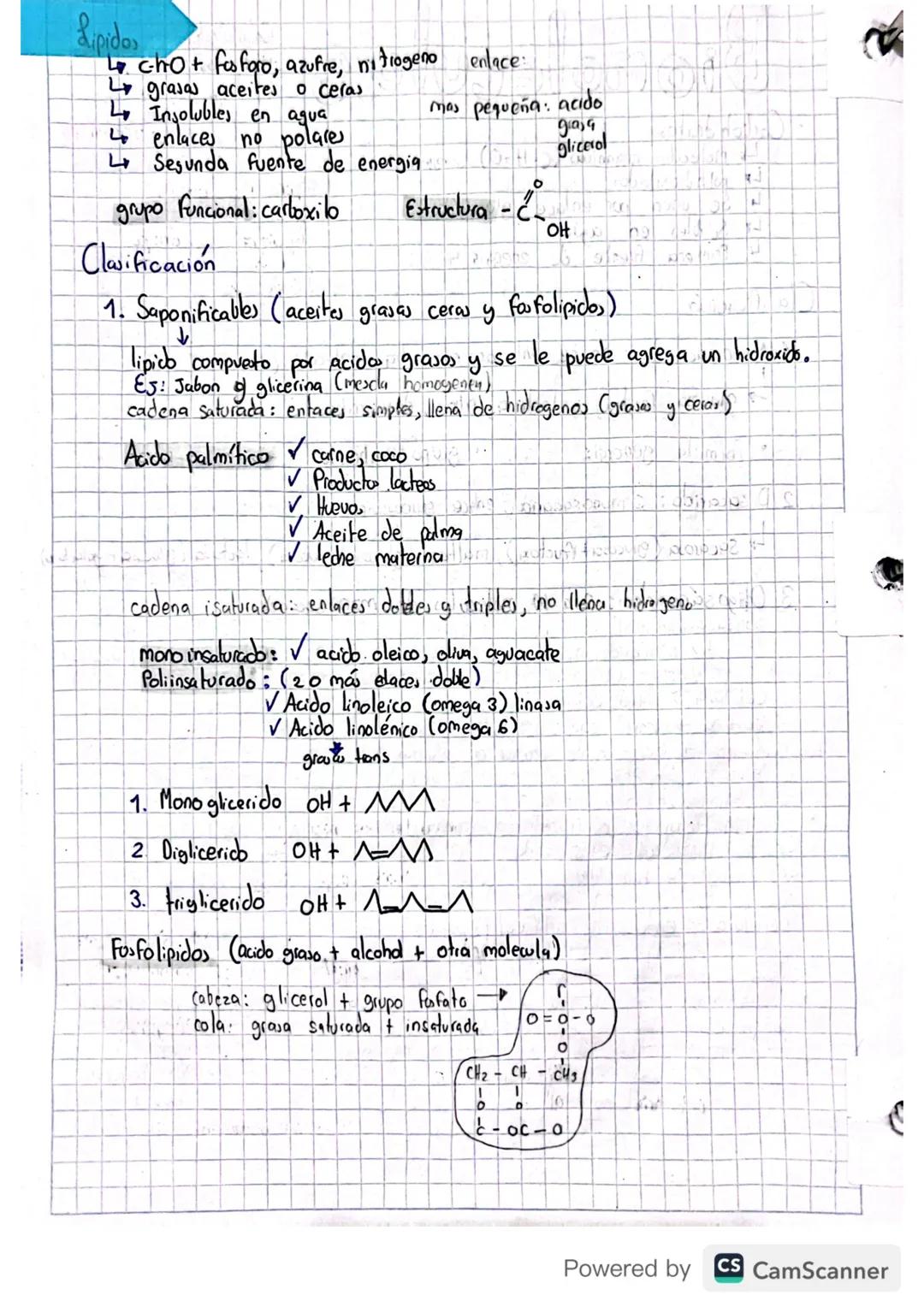 Biomoleculas
・Carbohidratos
↳ Moleculas organicas (C-H-O)
Lpolihidroxilados
↳ Se unen por enlace glucosídico
L Solubles en aguap
↳ Primera f