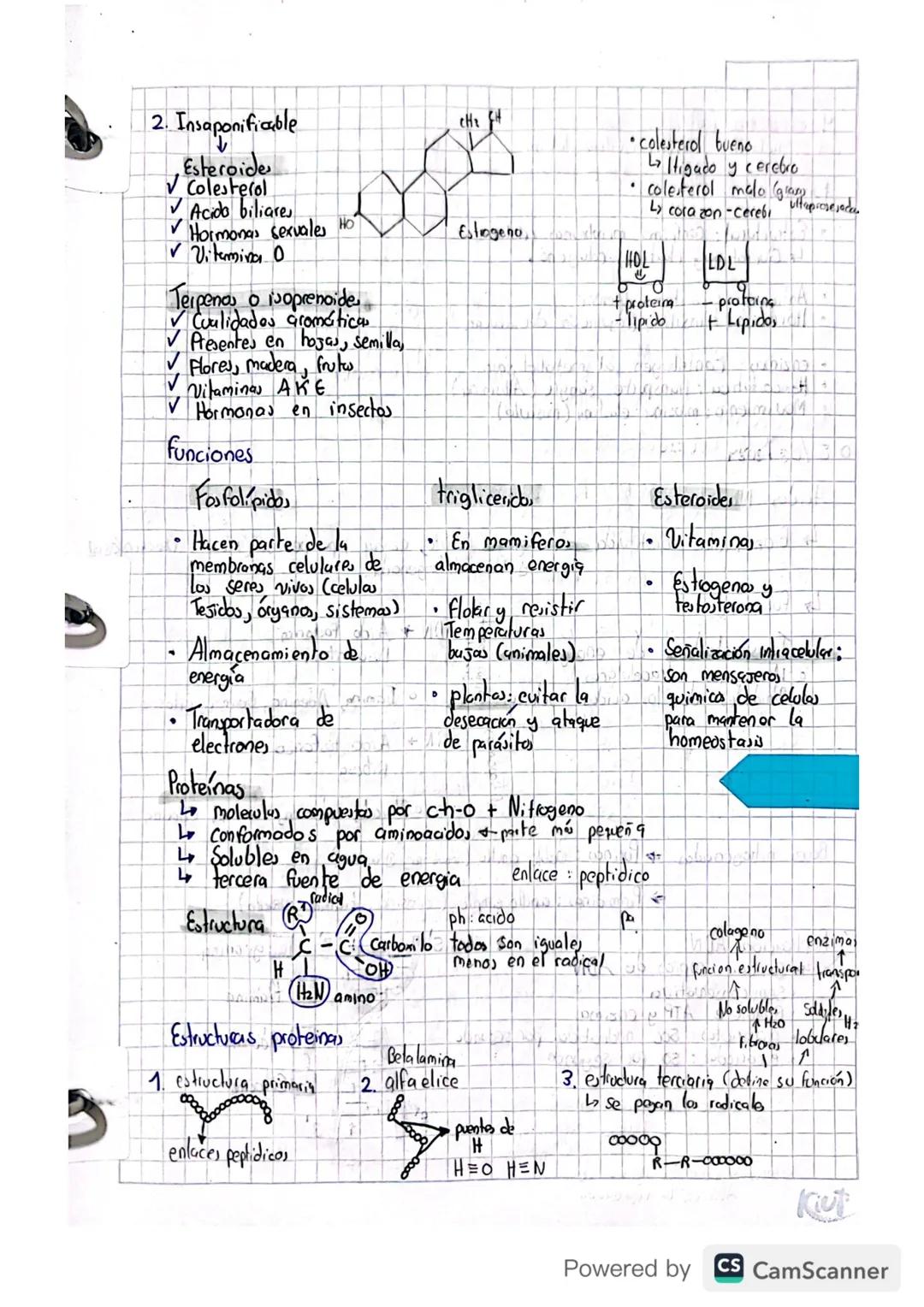 Biomoleculas
・Carbohidratos
↳ Moleculas organicas (C-H-O)
Lpolihidroxilados
↳ Se unen por enlace glucosídico
L Solubles en aguap
↳ Primera f