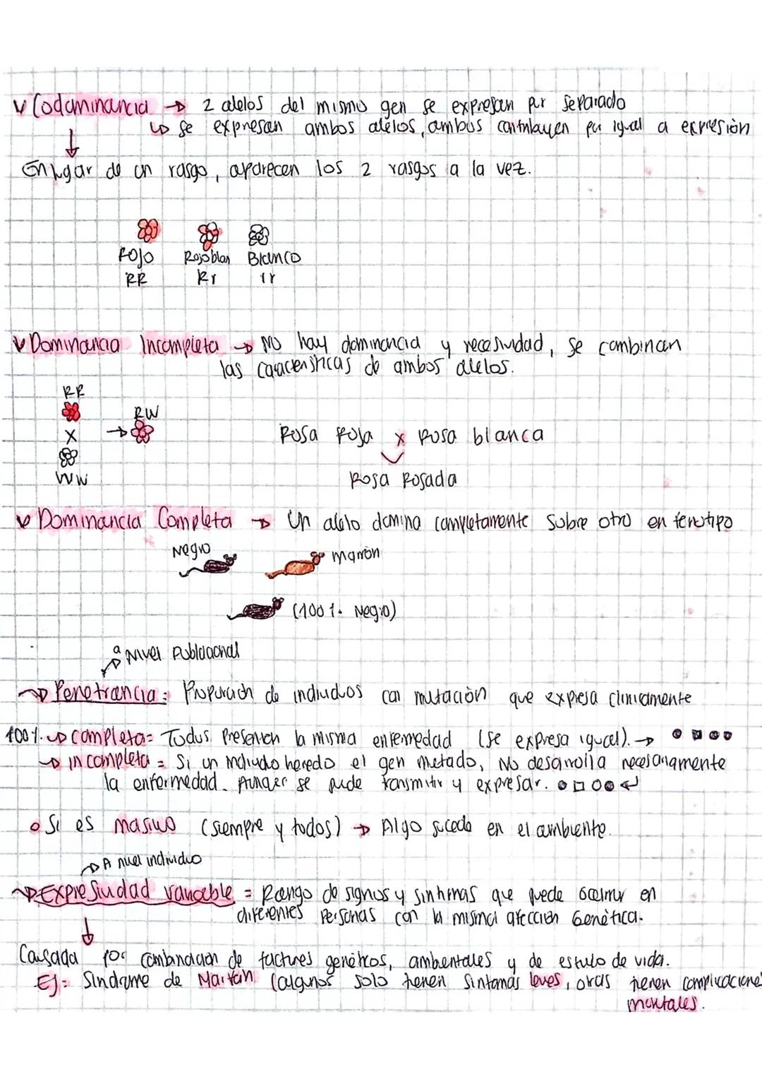 # Codominancia 2 alelos del mismo gen se expresen pur separado

↓

us se expresan ambos alelos, ambus cantulayen pu igual a expresión

Enkga