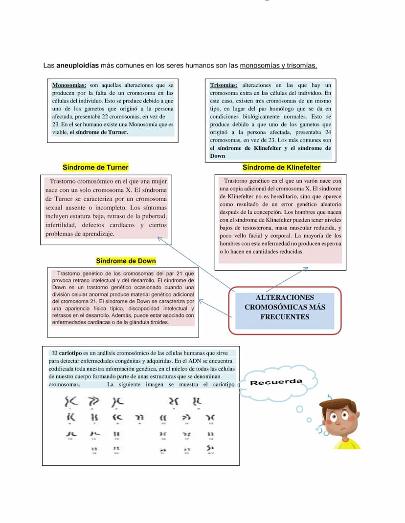 Lee la siguiente información y responde las preguntas solicitadas.
Existen diversas enfermedades y anomalías cuyo origen se encuentra en mut