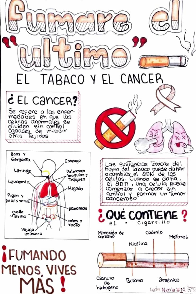 Fumare
ultimo
el
EL TABACO Y EL CANCER
¿EL CancER?
Se refiere a las enfer-
medades en que las
Celulas anormales se
dividen sin control
capac