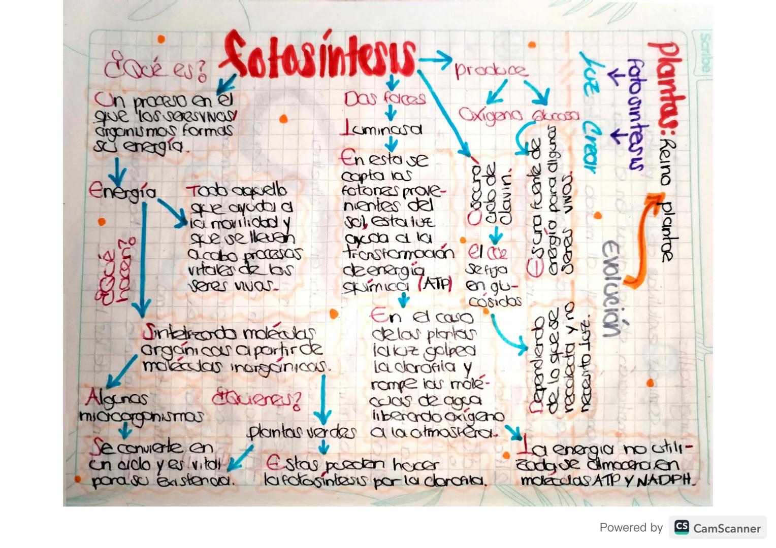 SQué es fotosintesys
On proceso en el
que los seresVNOS
Grganismos formas
su energia.
Energía Todo aquello
docé
242004
que ayudad
ia movilid