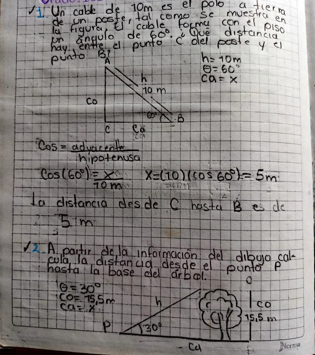 # APLICACIONES DE IAS
# RAZONES TRIGONOMETRICAS
Resolución de triangulos rectangulbs: Para solucionar
un triangulo rectángulo se utilizan la