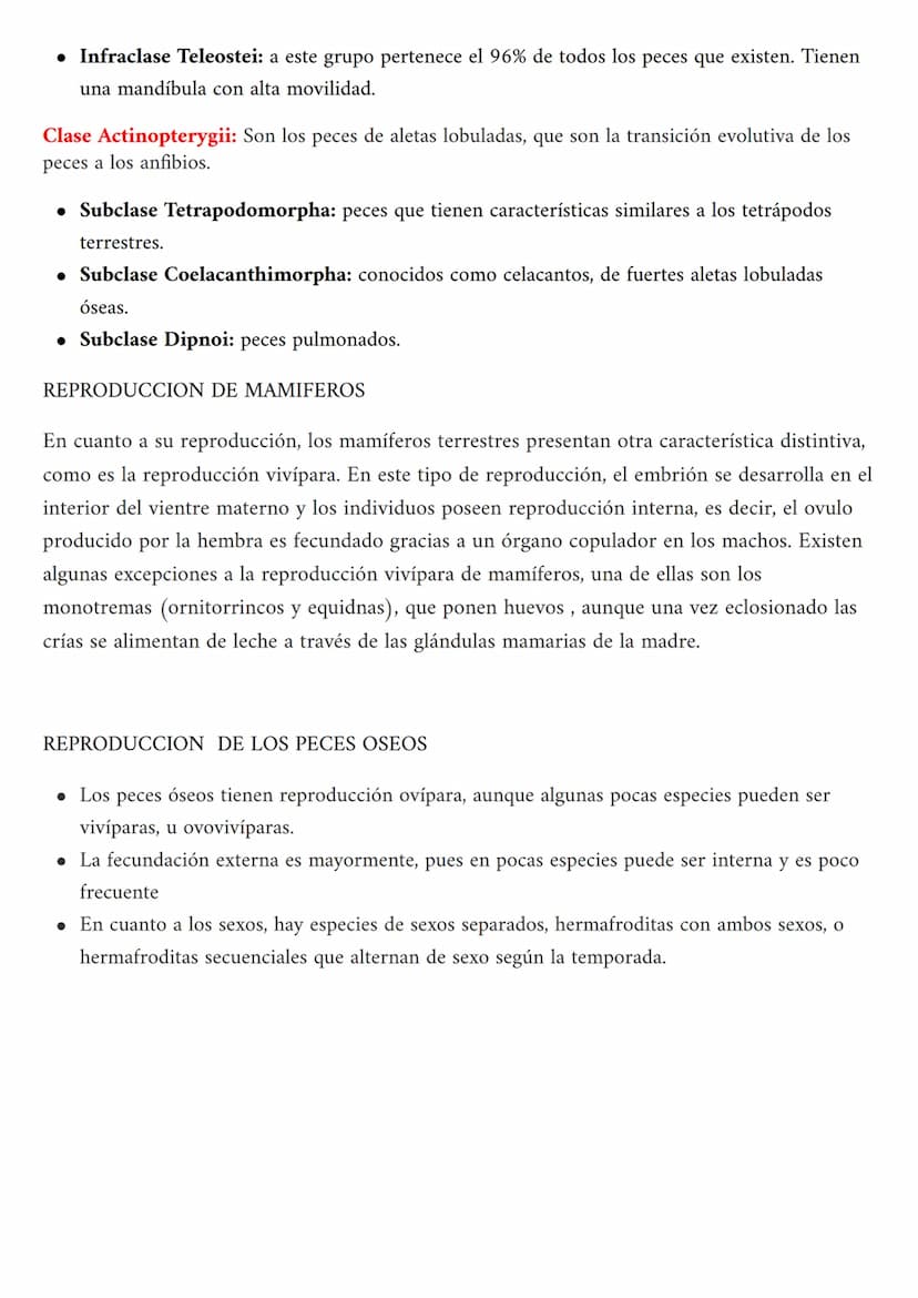 MAMIFEROS Y PECES OSEOS
• ¿QUE SON?
• CLASIFICACION O TIPOS
• CARCTERISTICAS
• REPRODUCCION
¿QUE SON LOS MAMIFEROS?
Los mamiferos son un gru
