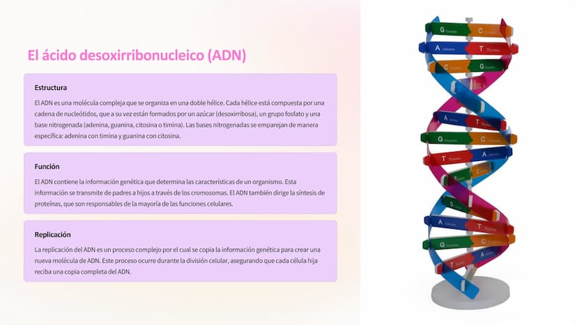 OPTIKA
Genética:
Descubriendo los
Secretos de la Vida
La genética es un campo fascinante que explora la herencia y la variación
de los seres