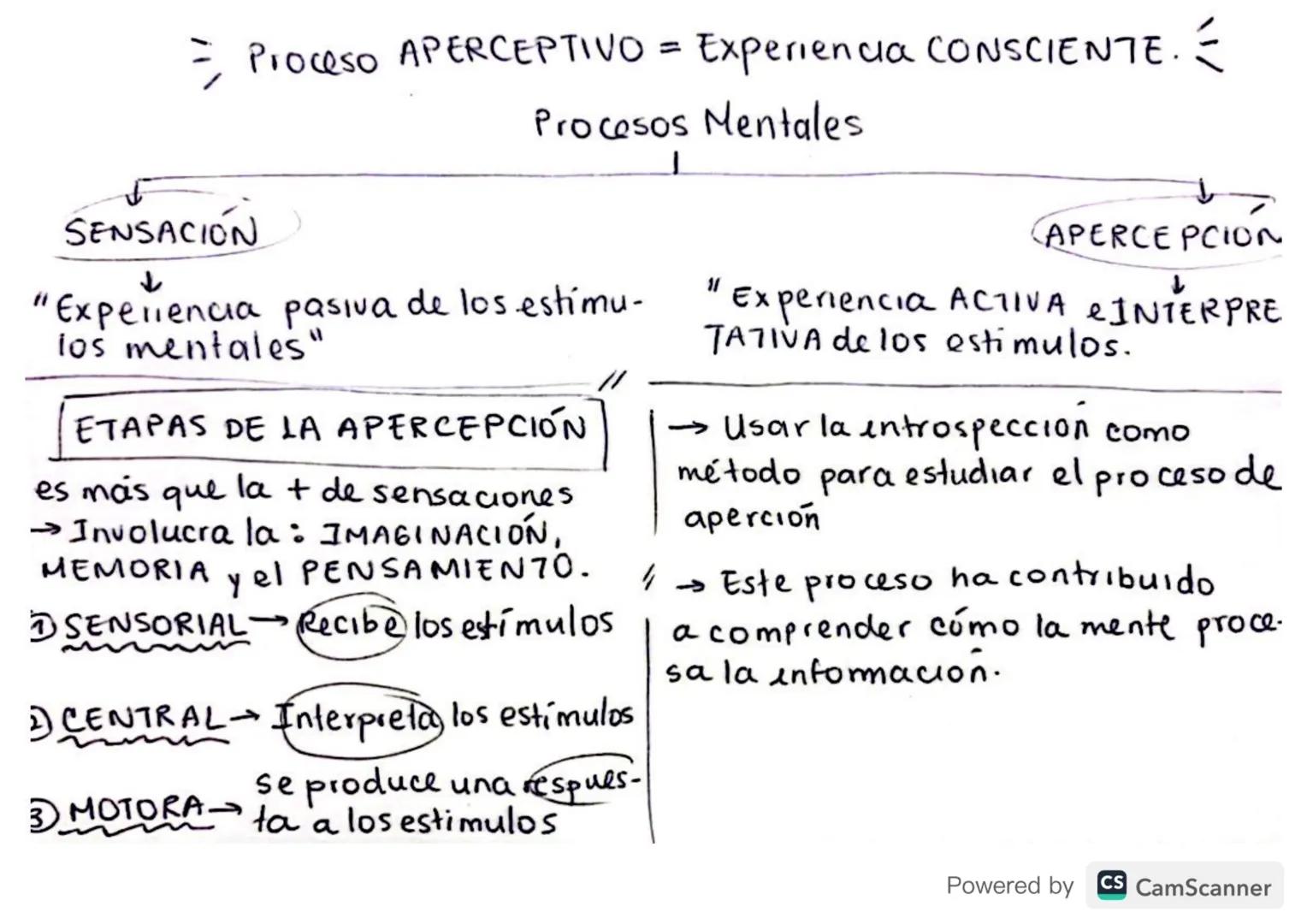 ¿Quien era?
Wilhem Wundt.
Powered by CS CamScanner →Nació en Alemania en 1832
→ Fundador de la psicologia cientifica & Packede la Psicologia