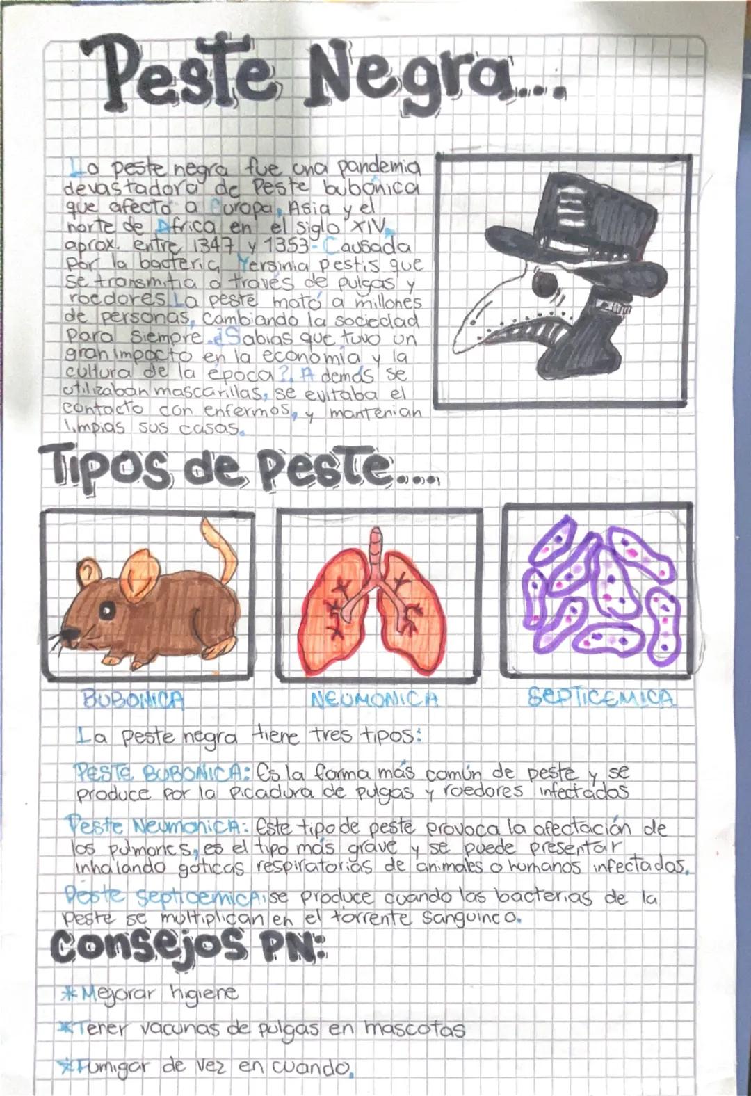 # Peste Negra...

La peste negra fue una pandemia
devastadora de peste bubonica
que afecto a Curopa, Asia y el
norte de Africa en el siglo X