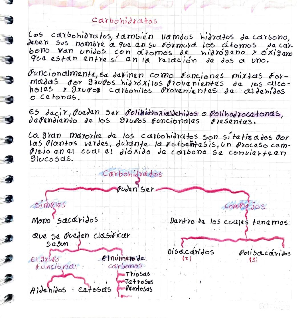 # Carbohidratos

Cos carbohidratos, también Namdos hidratos de carbono,
deben sus nombre a que en su fórmura los átomos de car-
bono van uni