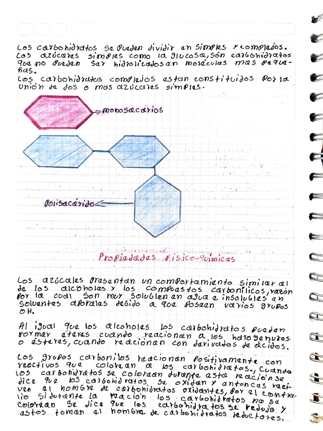 # Carbohidratos

Cos carbohidratos, también Namdos hidratos de carbono,
deben sus nombre a que en su fórmura los átomos de car-
bono van uni