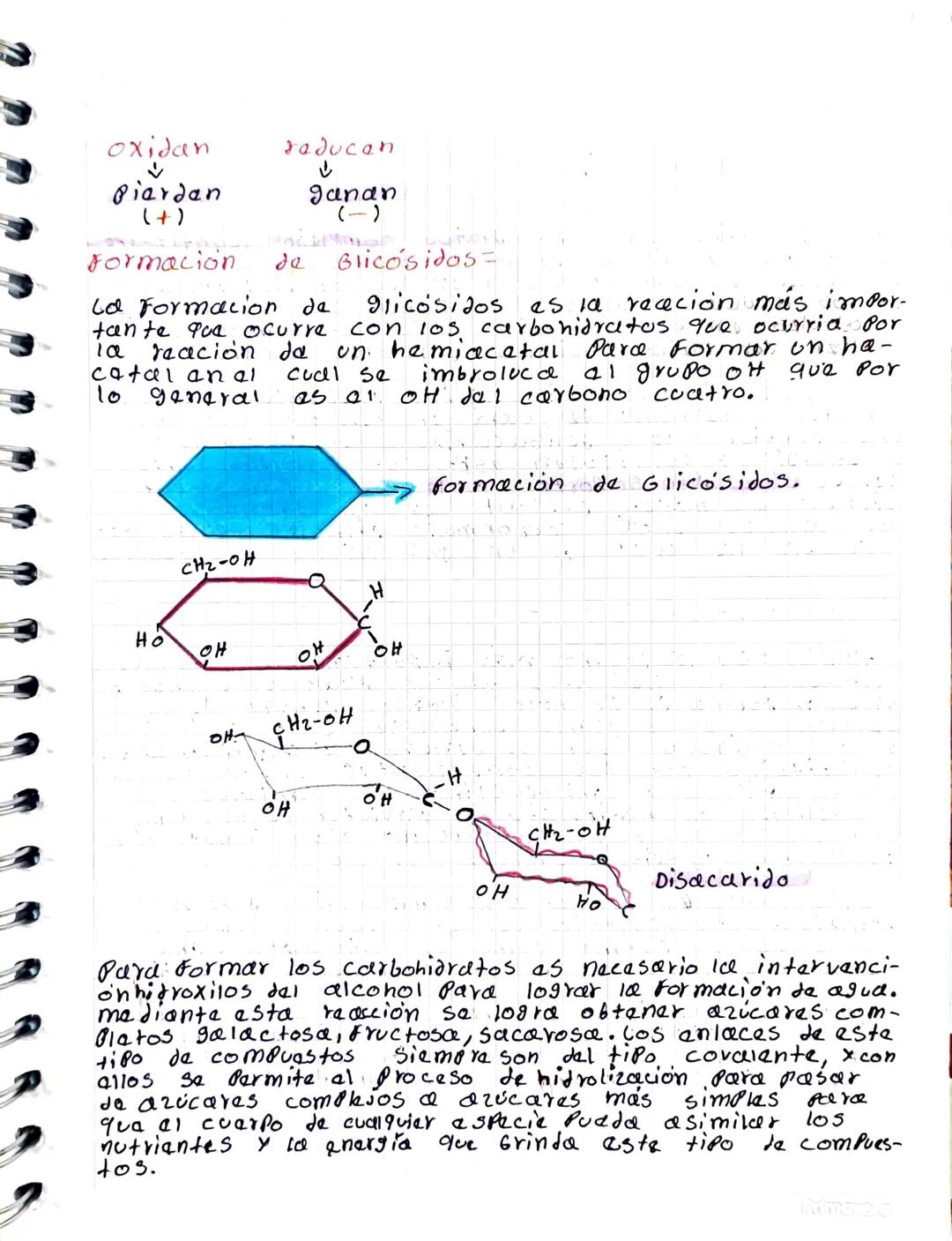 # Carbohidratos

Cos carbohidratos, también Namdos hidratos de carbono,
deben sus nombre a que en su fórmura los átomos de car-
bono van uni