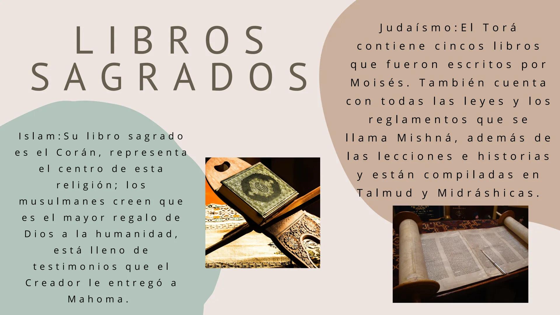 ¿Qué es la
misericordia?
La misericordia es
sentir compasión y
piedad por las
personas que sufren
y ofrecerles apoyo y
compañía al
consolar,